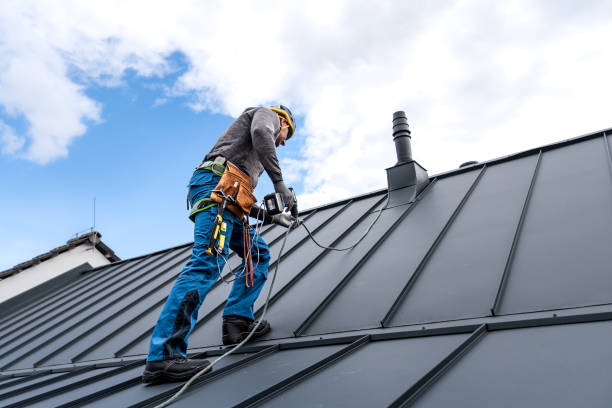 Best Skylight Installation and Repair  in Bonnetsville, NC